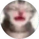 Nikushu profile picture