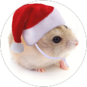 Jan Bräuer (. profile picture